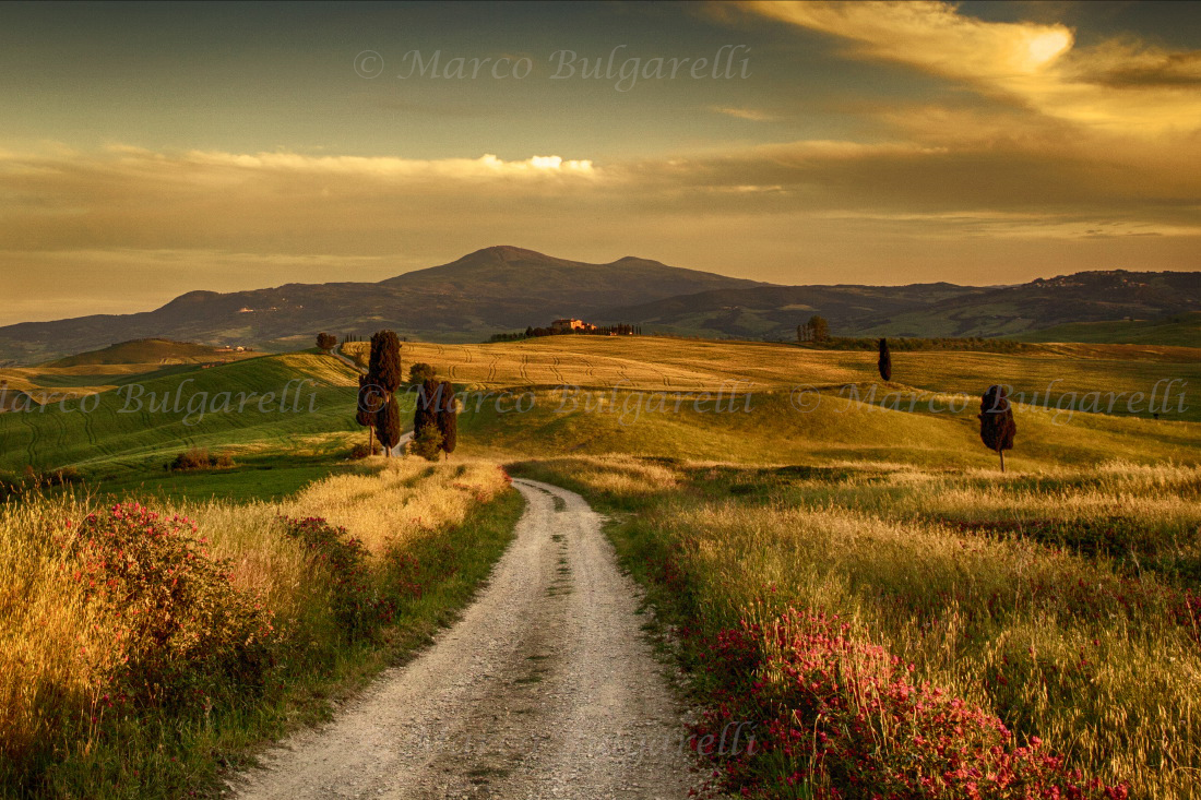 Tuscany photography workshop